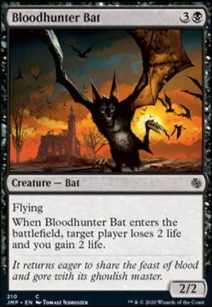 Chauve-souris chassesang