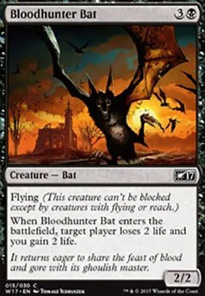 Chauve-souris chassesang