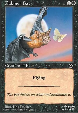 Chauve-souris du Marennois