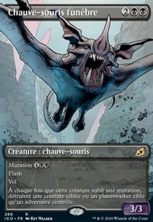 Chauve-souris funèbre