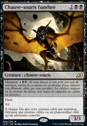 Chauve-souris funèbre