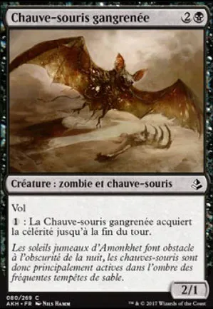 Chauve-souris gangrenée
