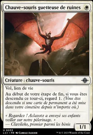 Chauve-souris guetteuse de ruines