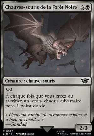 Chauves-souris de la Forêt Noire