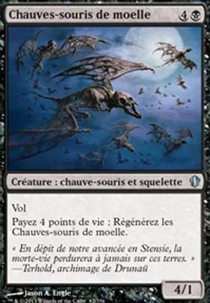 Chauves-souris de moelle