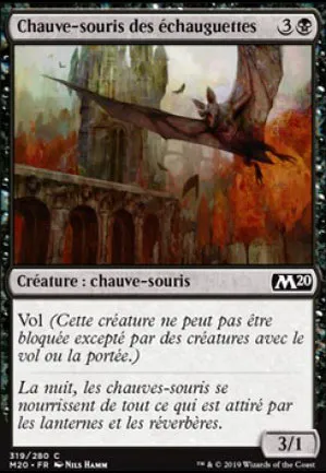 Chauves-souris des échauguettes