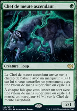 Chef de meute ascendant