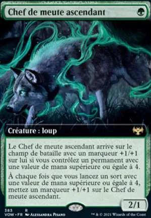 Chef de meute ascendant