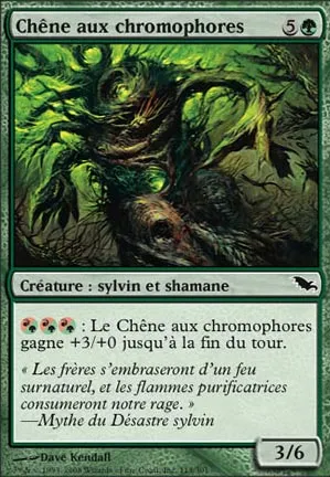Chêne aux chromophores