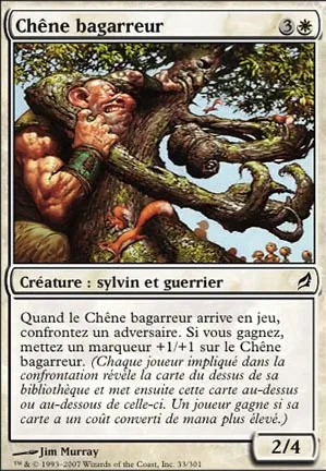 Chêne bagarreur