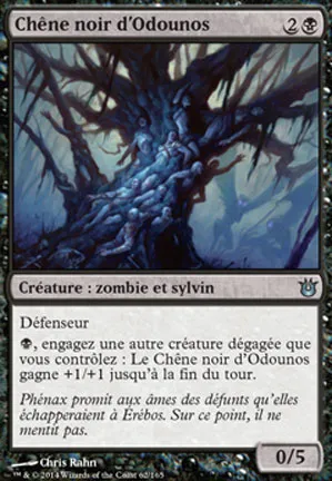Chêne noir d'Odounos