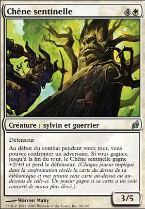Chêne sentinelle
