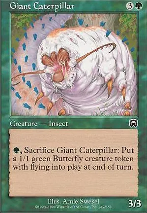 Chenille géante