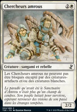 Chercheurs amrous