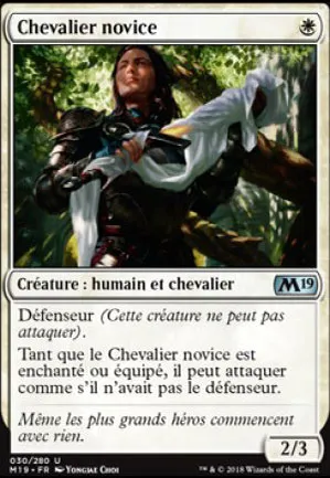 Chevalier novice