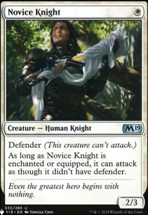 Chevalier novice