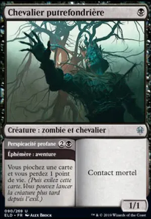 Chevalier putrefondrière // Perspicacité profane