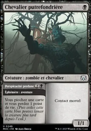 Chevalier putrefondrière // Perspicacité profane
