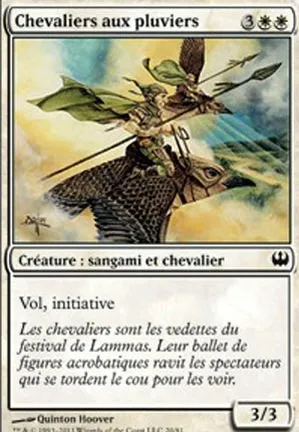 Chevaliers aux pluviers
