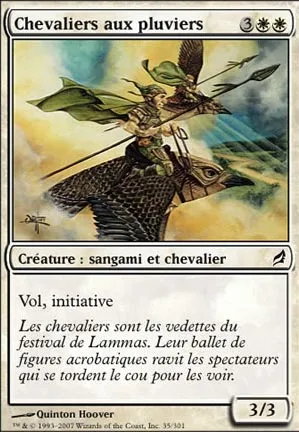 Chevaliers aux pluviers