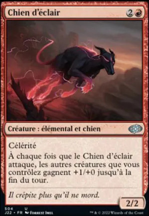 Chien d'éclair