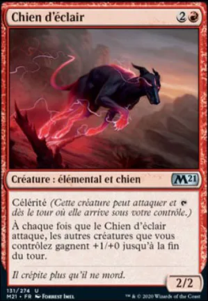 Chien d'éclair