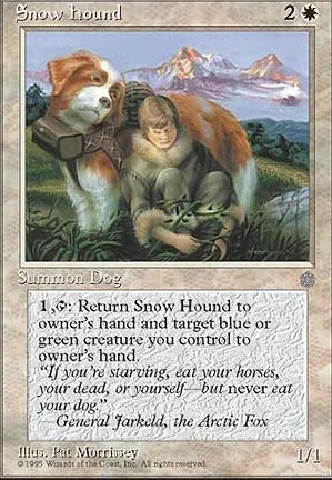 Chien de chasse des neiges