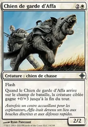 Chien de garde d'Affa
