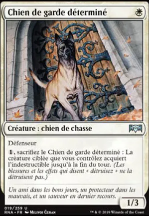 Chien de garde déterminé