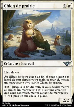 Chien de prairie
