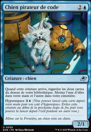 Chien pirateur de code