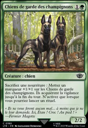 Chiens de garde des champignons