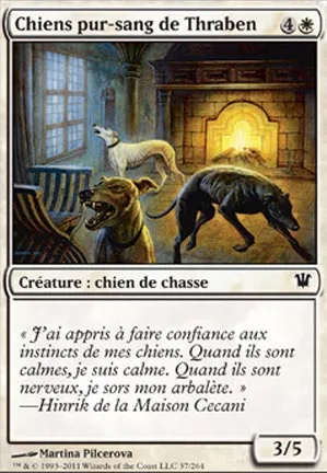 Chiens pur-sang de Thraben