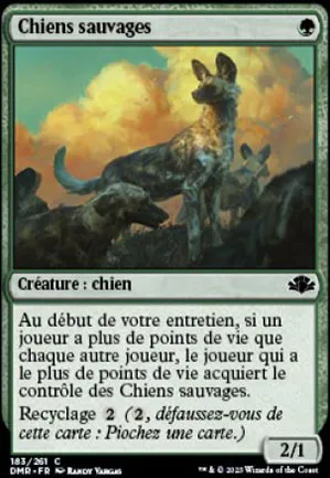 Chiens sauvages