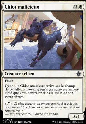 Chiot malicieux
