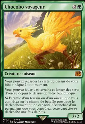 Chocobo voyageur