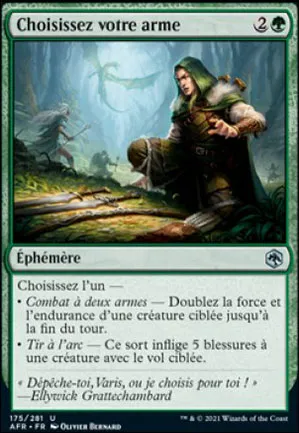 Choisissez votre arme