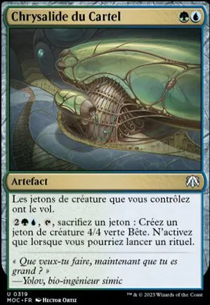 Chrysalide du Cartel