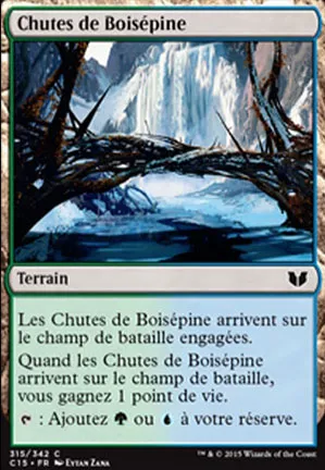 Chutes de Boisépine