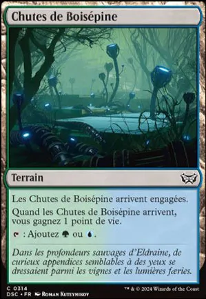 Chutes de Boisépine