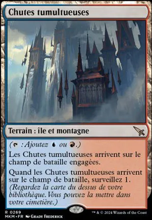 Chutes tumultueuses