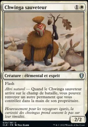 Chwinga sauveteur