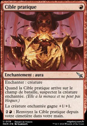 Cible pratique