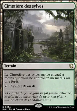 Cimetière des sylves