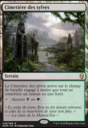 Cimetière des sylves