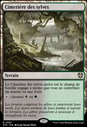 Cimetière des sylves