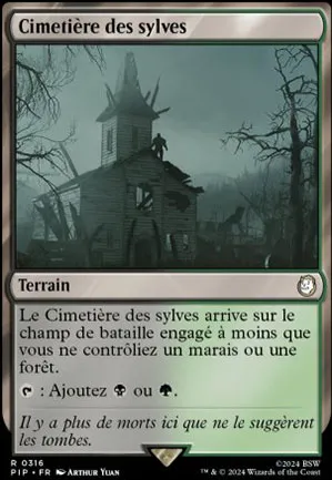 Cimetière des sylves