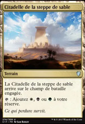 Citadelle de la steppe de sable