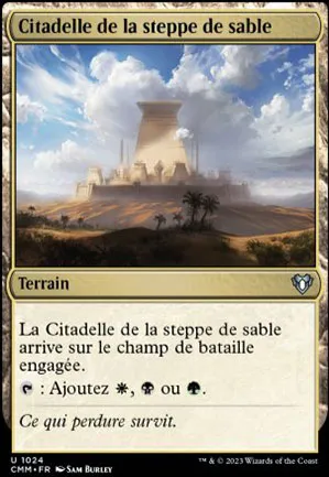 Citadelle de la steppe de sable