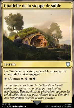 Citadelle de la steppe de sable
